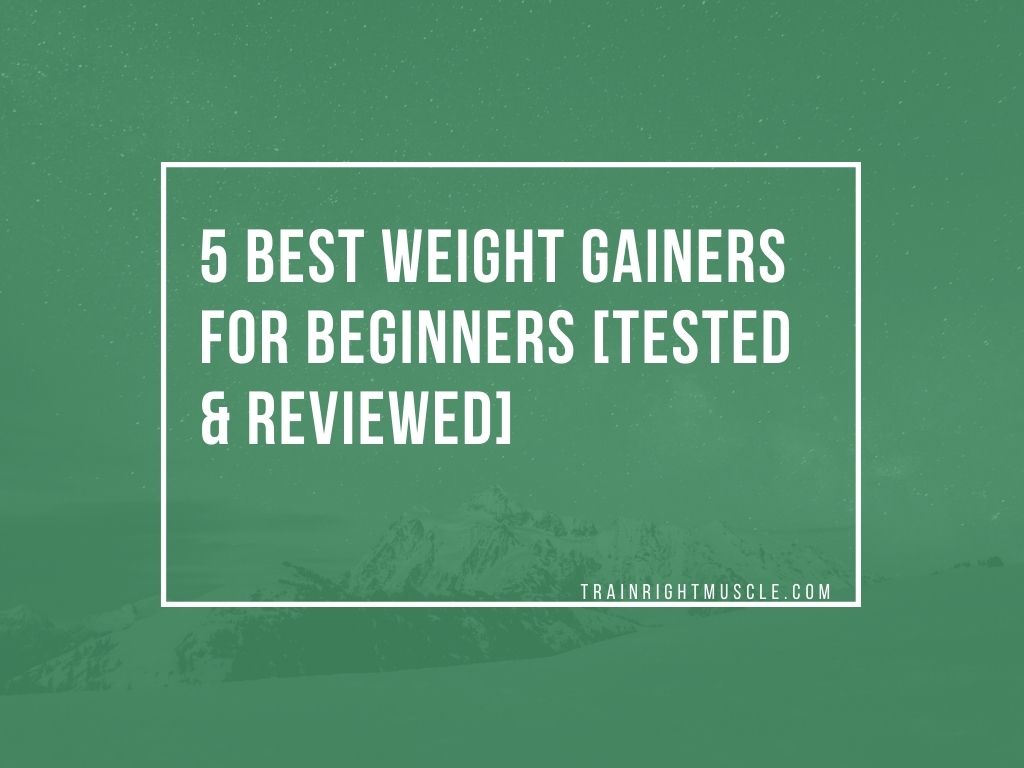 5 Best Weight Gainers For Beginners [TESTED and REVIEWED
