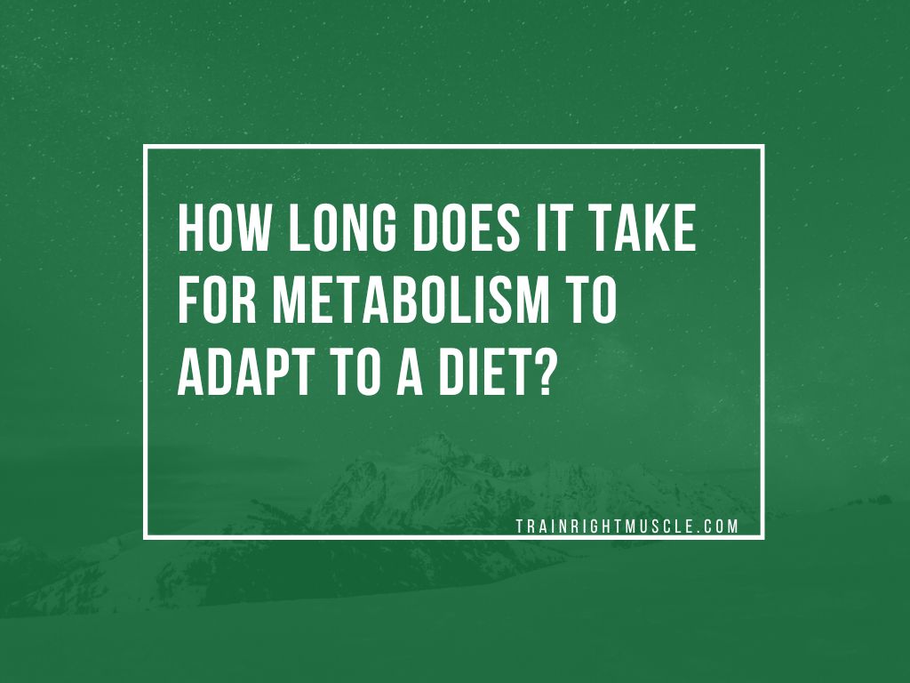 metabolism to adapt to a diet
